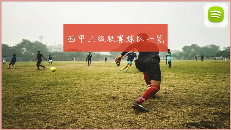 西甲三级联赛球队一览