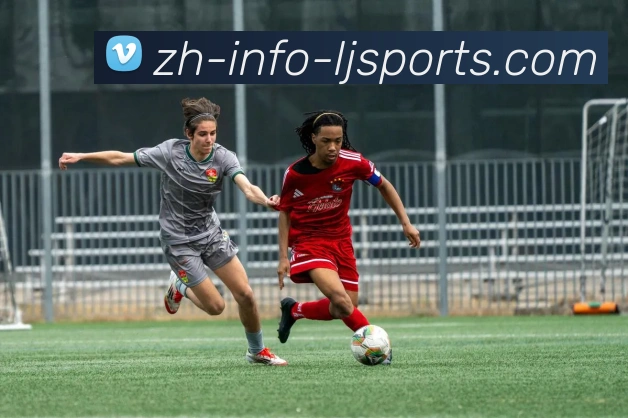 辅助工具 辅助工具